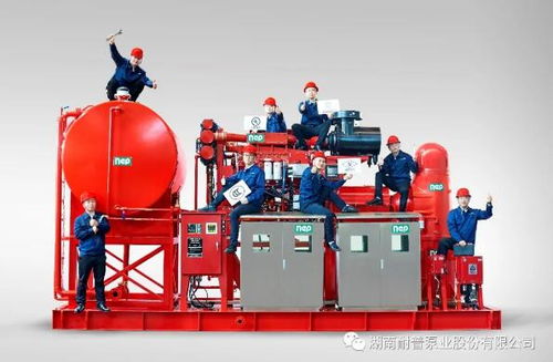 耐普泵業(yè)產(chǎn)品助力中國(guó)海洋裝備建設(shè)——中海油陸豐油田群區(qū)域開發(fā)項(xiàng)目柴油機(jī)消防泵組順利交付